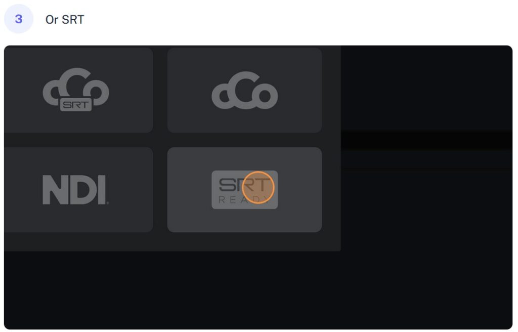 BirdDog Cloud Screenshot: SRT